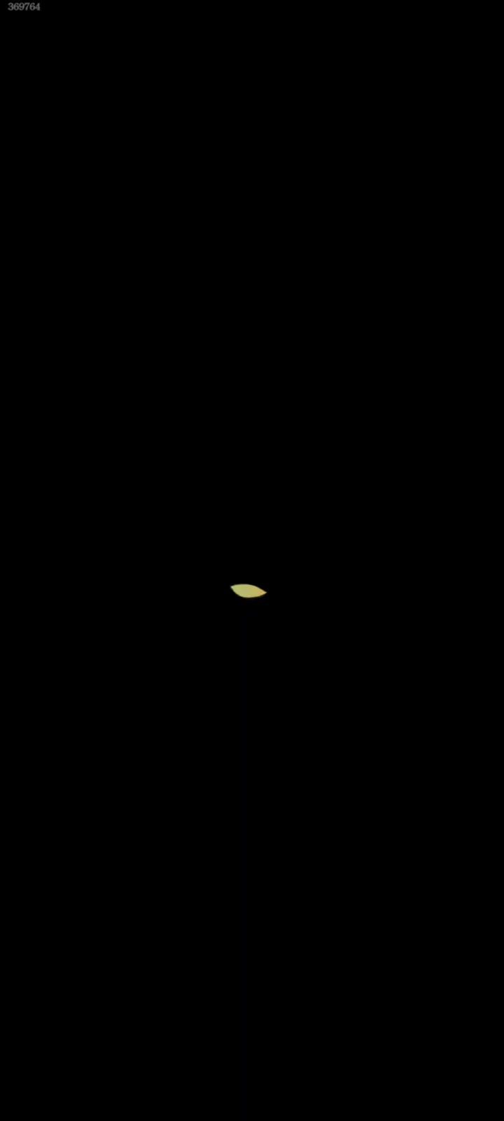 video-4551404