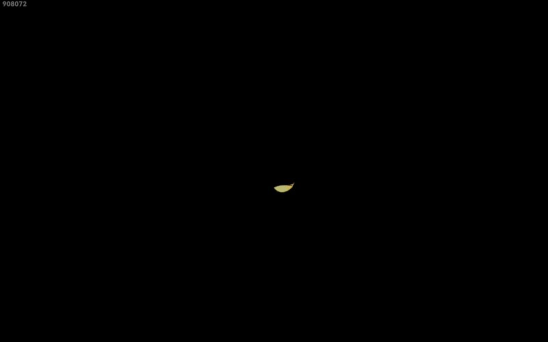 video-4551543