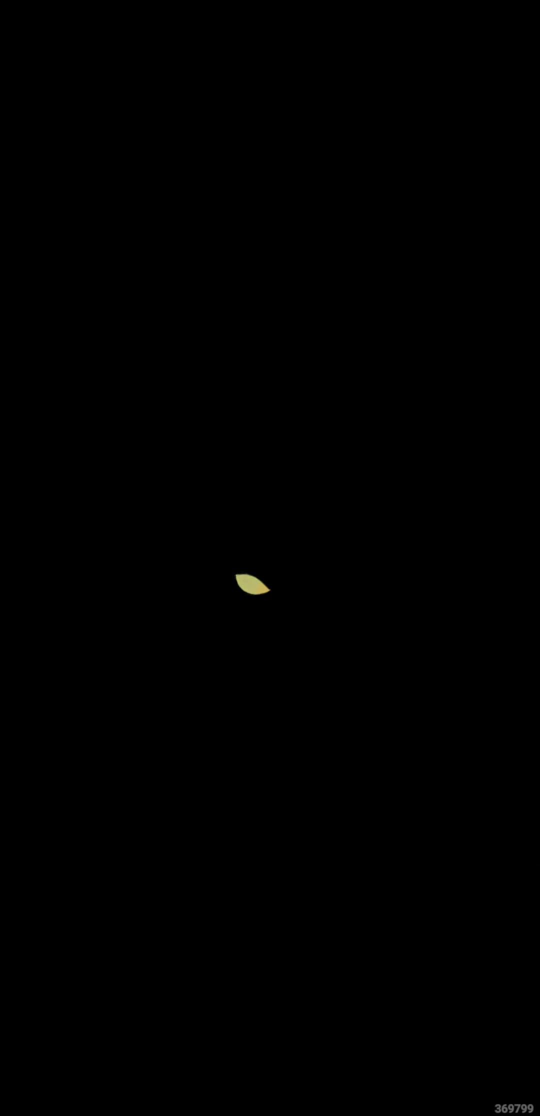 video-4551557