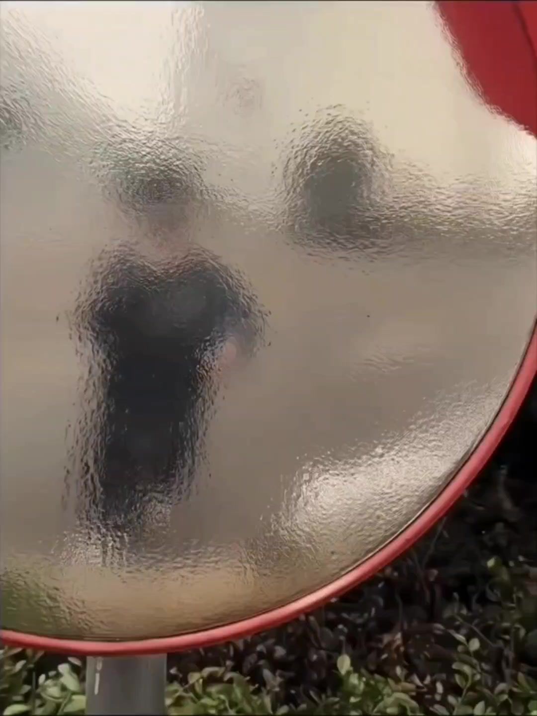 video-4552534