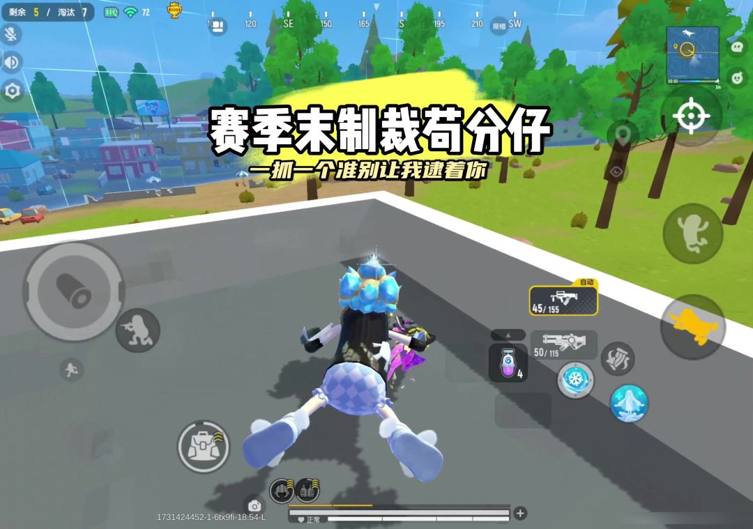 video-4554317