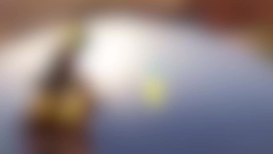 video-4555622