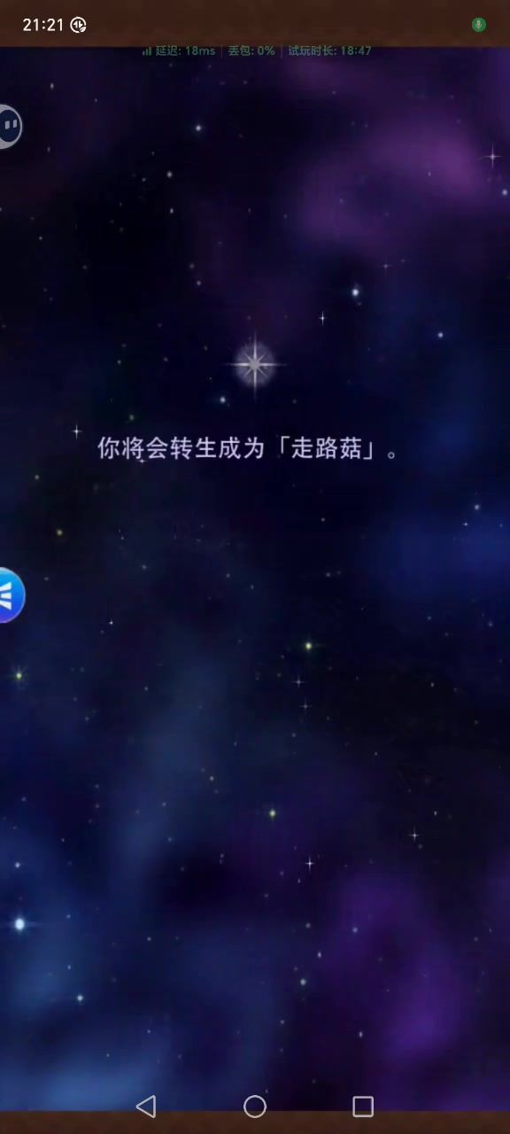 video-4560382