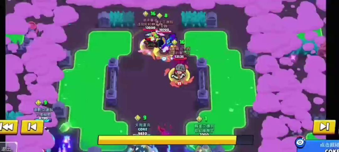 video-4562447