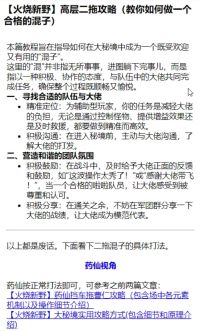 【火烧新野】秘境高层二拖攻略（教你如何做一个合格的混子）