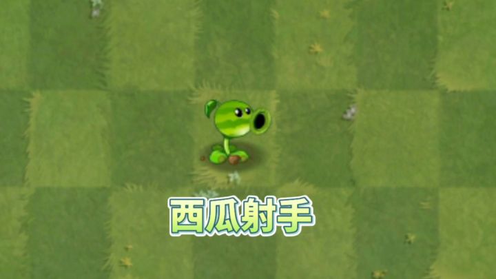 自制植物:西瓜射手截图