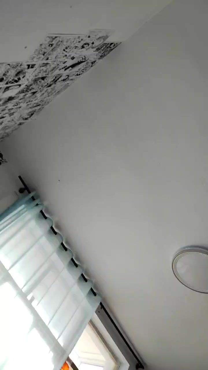 video-4566158