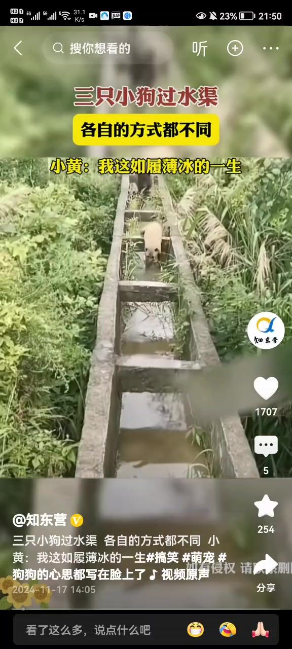 假ro截图