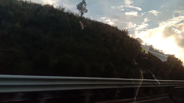 如果酸一见就说把截图