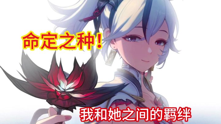 【鸣潮】椿伴星任务截图