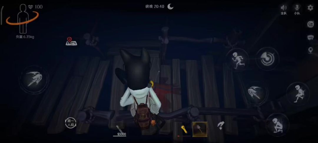 video-4571751