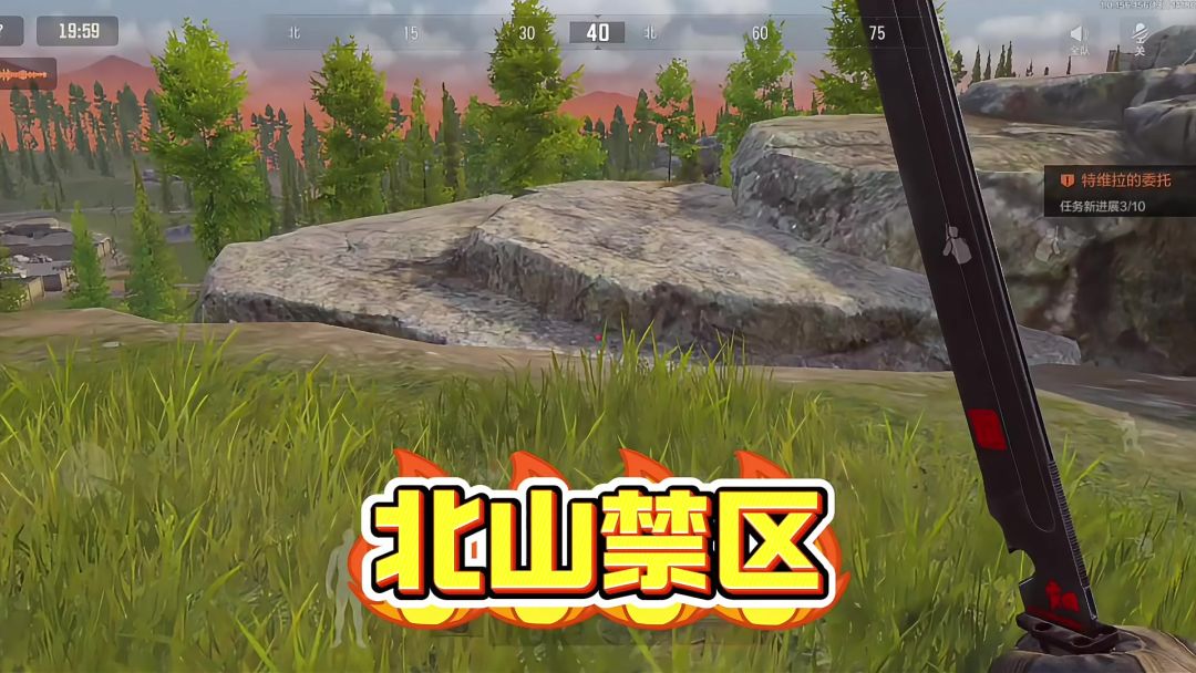 video-4573495