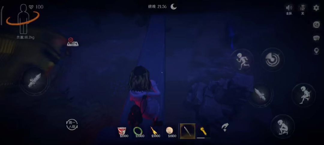video-4573573