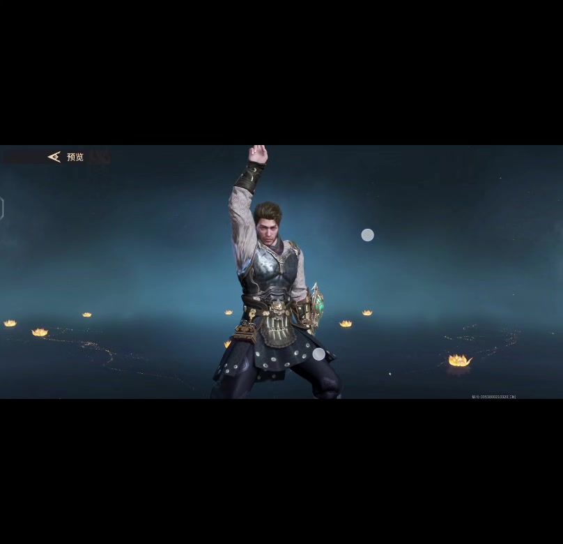 video-4581001