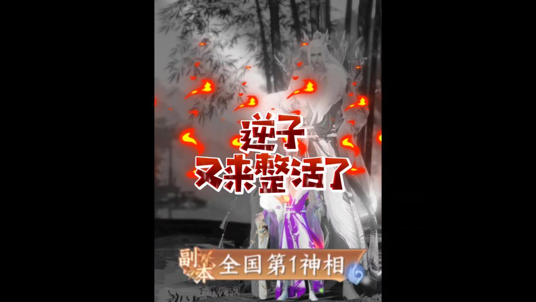 video-4581510