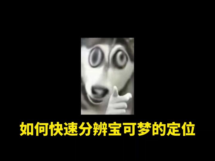 如何快速分辨宝可梦的定位截图