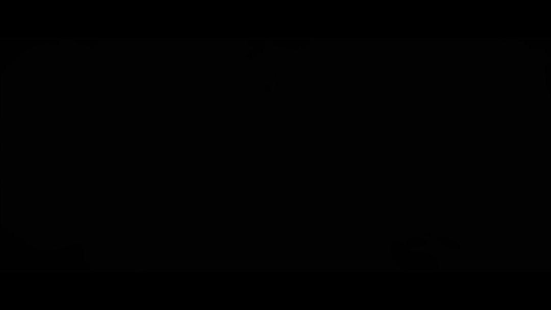 video-4583858