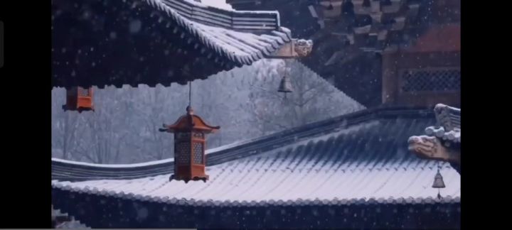 卿卿日常取景地截图