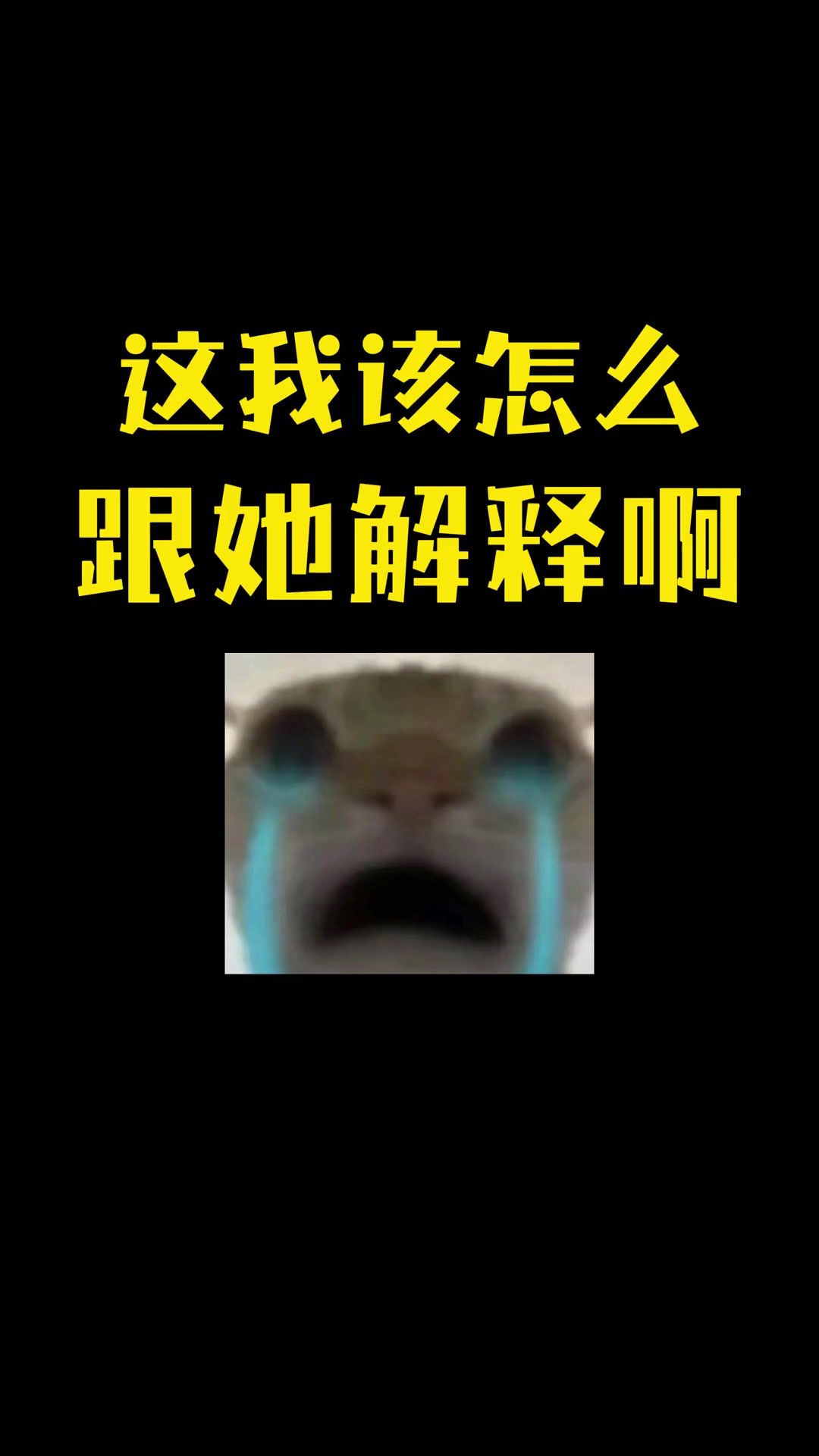 video-4588951