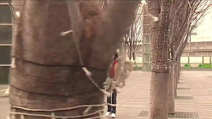 《假面骑士》截图