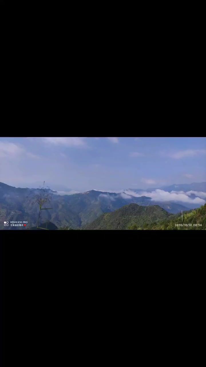 能联机吗？还是纯单机？截图