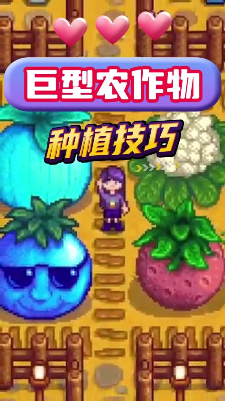 星露谷物语巨大农作物教学截图