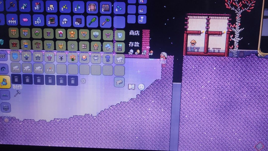 video-4597803