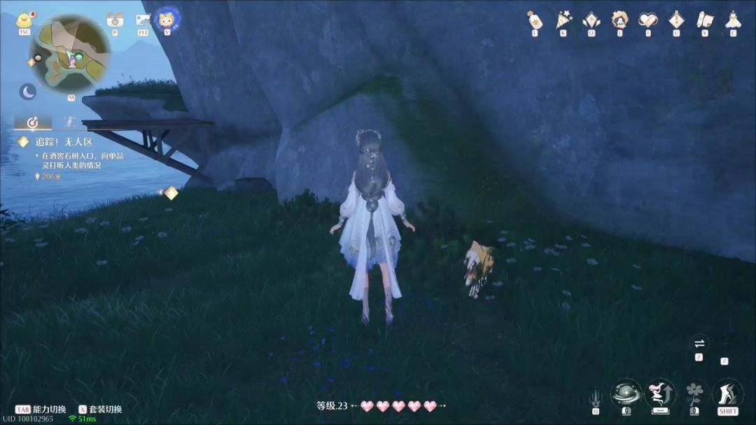 video-4598002