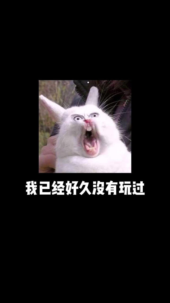 策划你们的钱是从天上掉下来的吗?放置游戏界的清流《飞艇英雄》截图