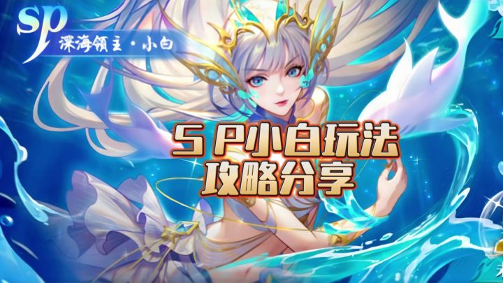 SP小白新手教程截图