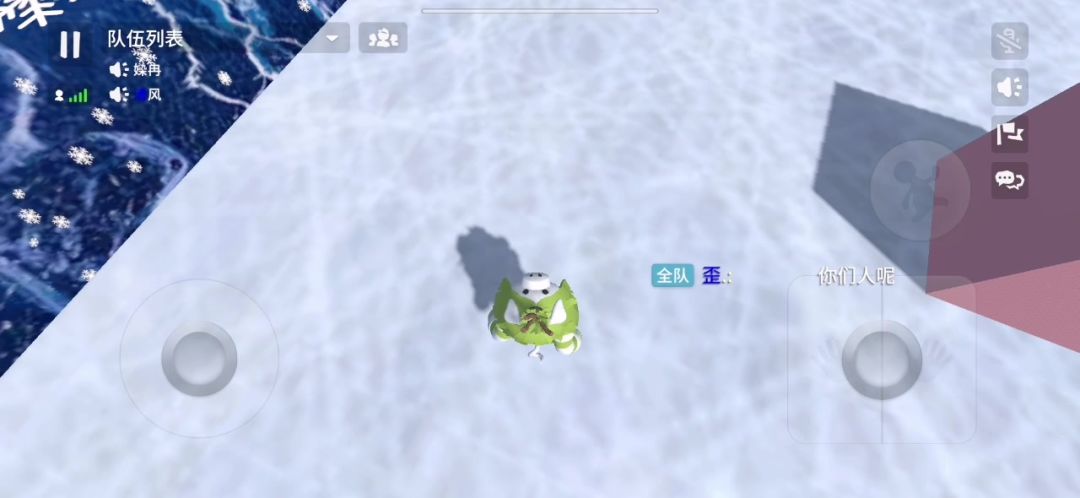 video-4605003