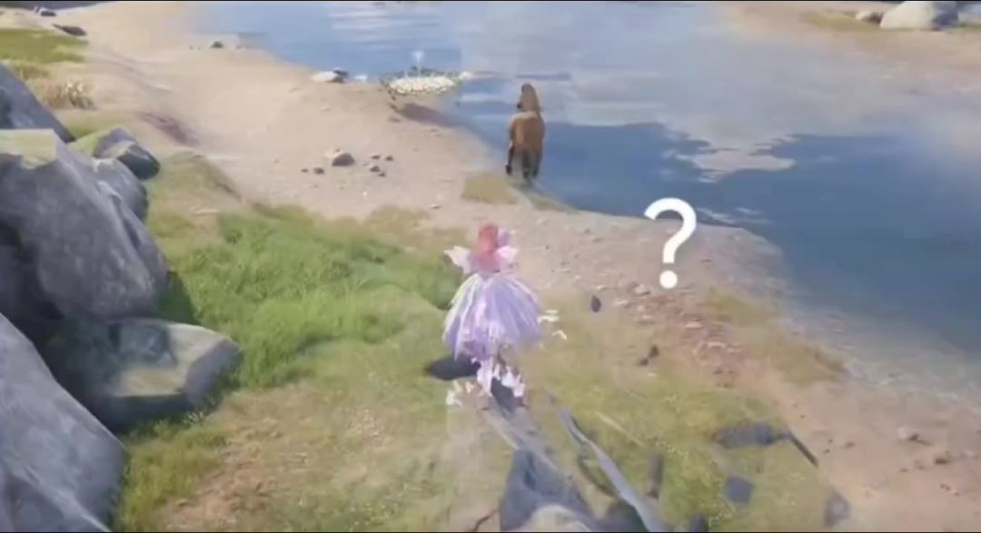 video-4607033