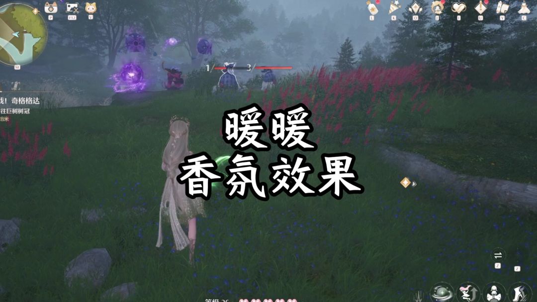 video-4609027