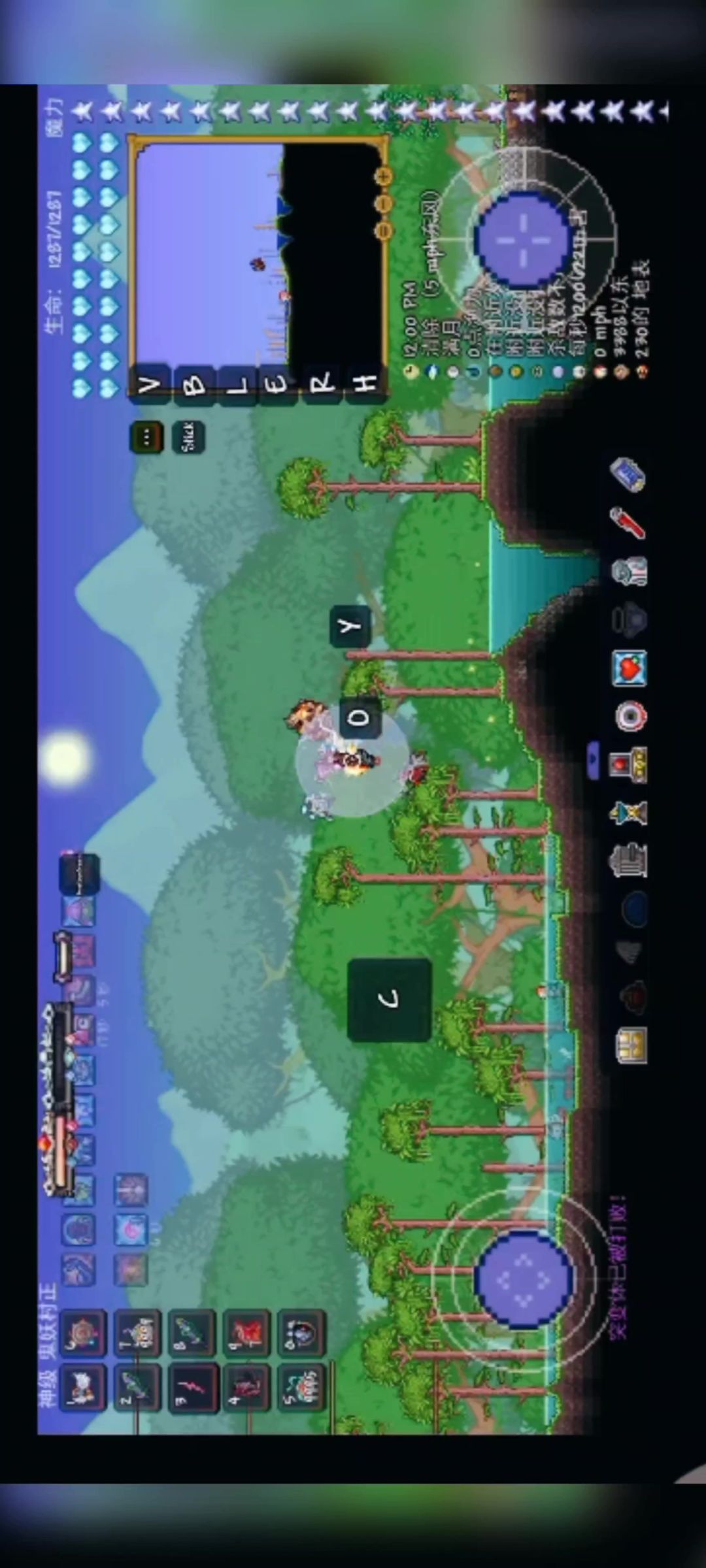 video-4613946