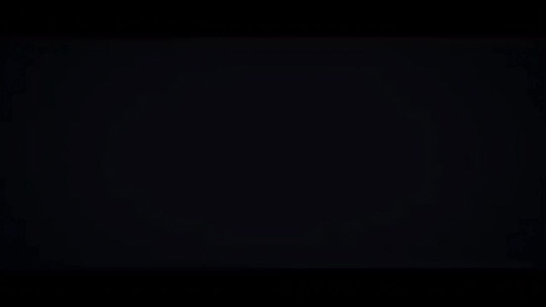 video-4615642