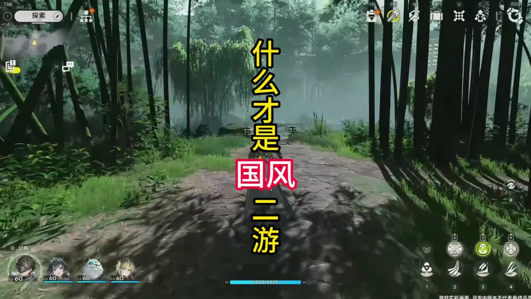 video-4617713