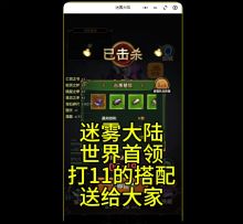 迷雾大陆世界boss法师德鲁伊装备搭配攻略分享