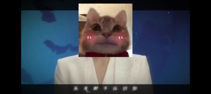 你们说过程重要还是结果重要截图