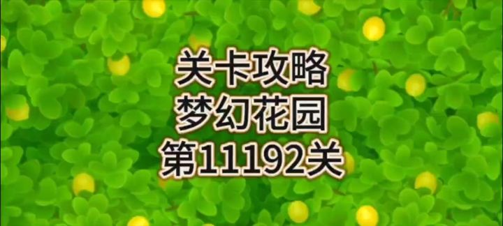 花园攻略站VOL57：第11192关截图