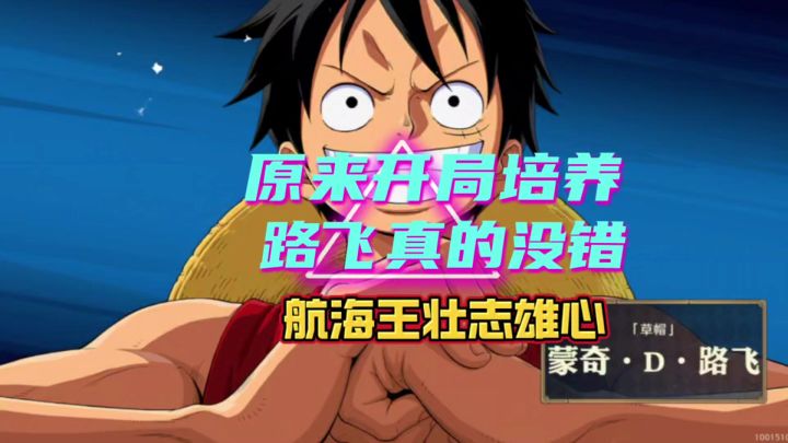 壮志雄心竞技场路飞也是一个不错的选手截图