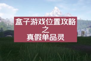盒子游戏位置攻略之11个真假单品灵