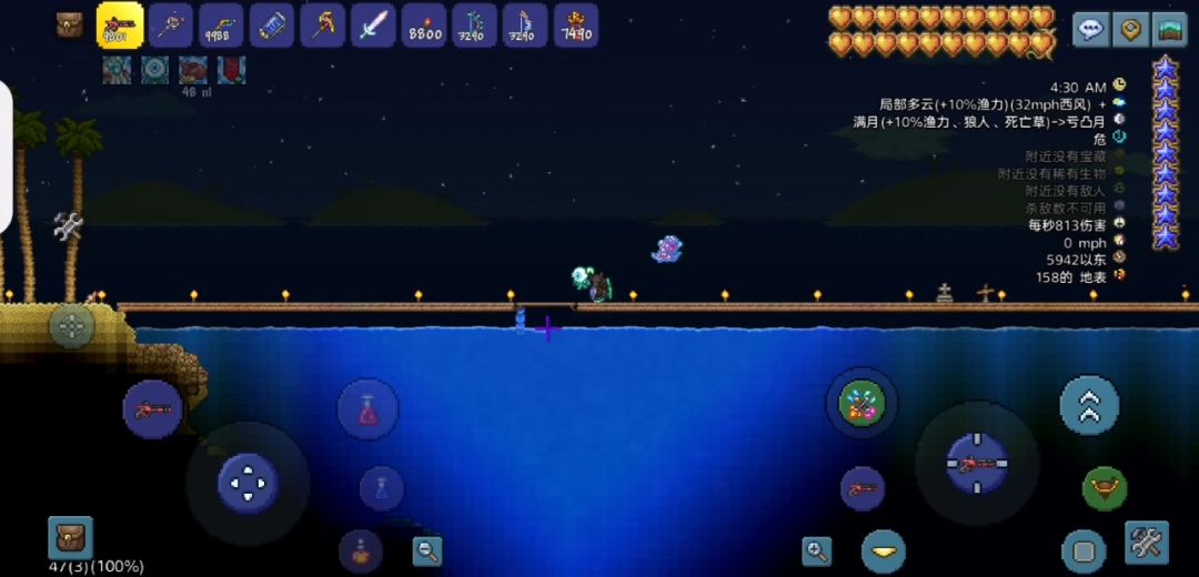 video-4629995
