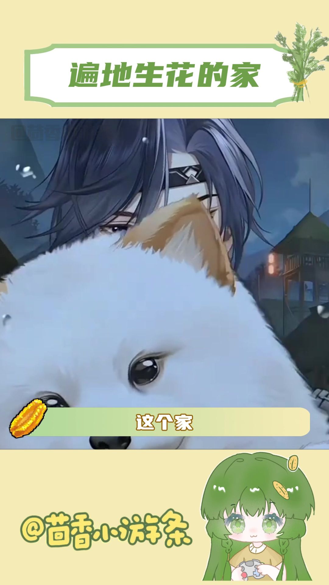video-4630320