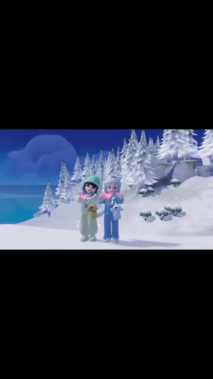 video-4631833
