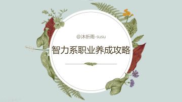 【星痕共鸣】奶妈法师职业流派装备词条重点养成攻略-智力篇