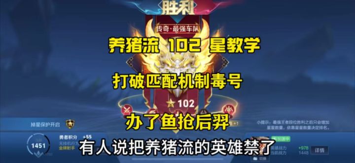 #上热门 养猪流102星教学，用肉凯可以克制养猪流吗截图