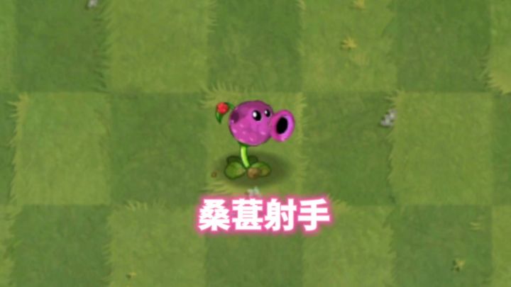 自制植物:桑葚射手截图