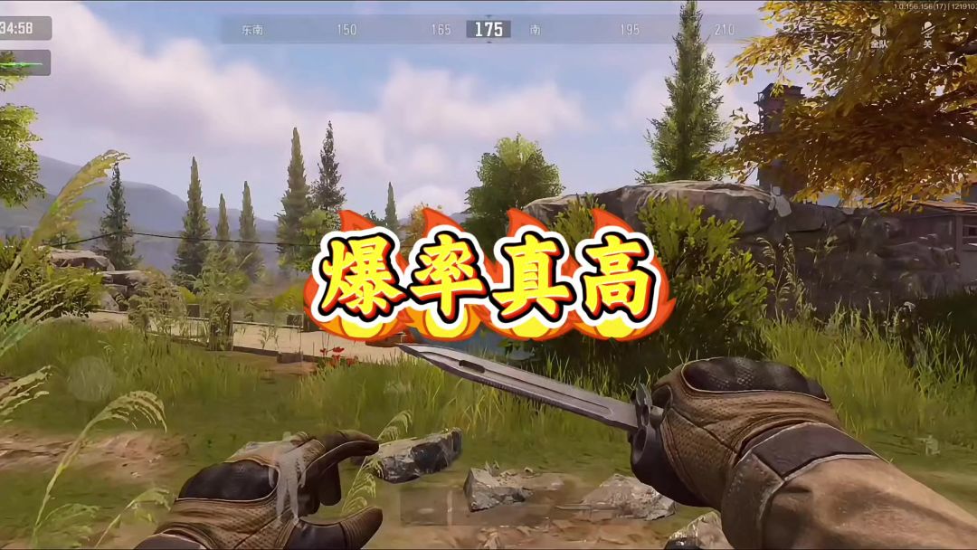 video-4639142