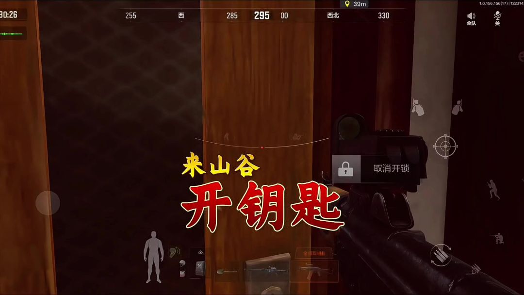 video-4641568