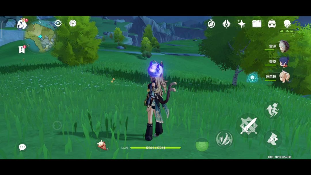 video-4644740